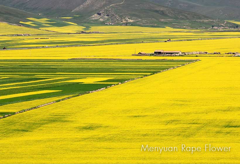 Qinghai itinerary