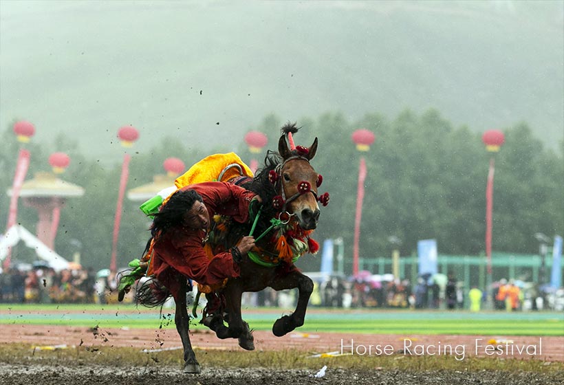 Horse Racing Festival