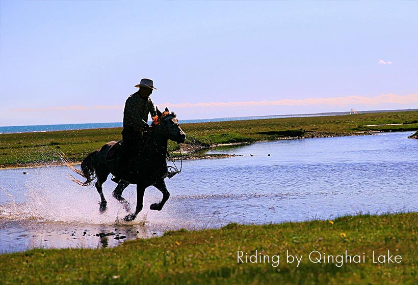 Qinghai things